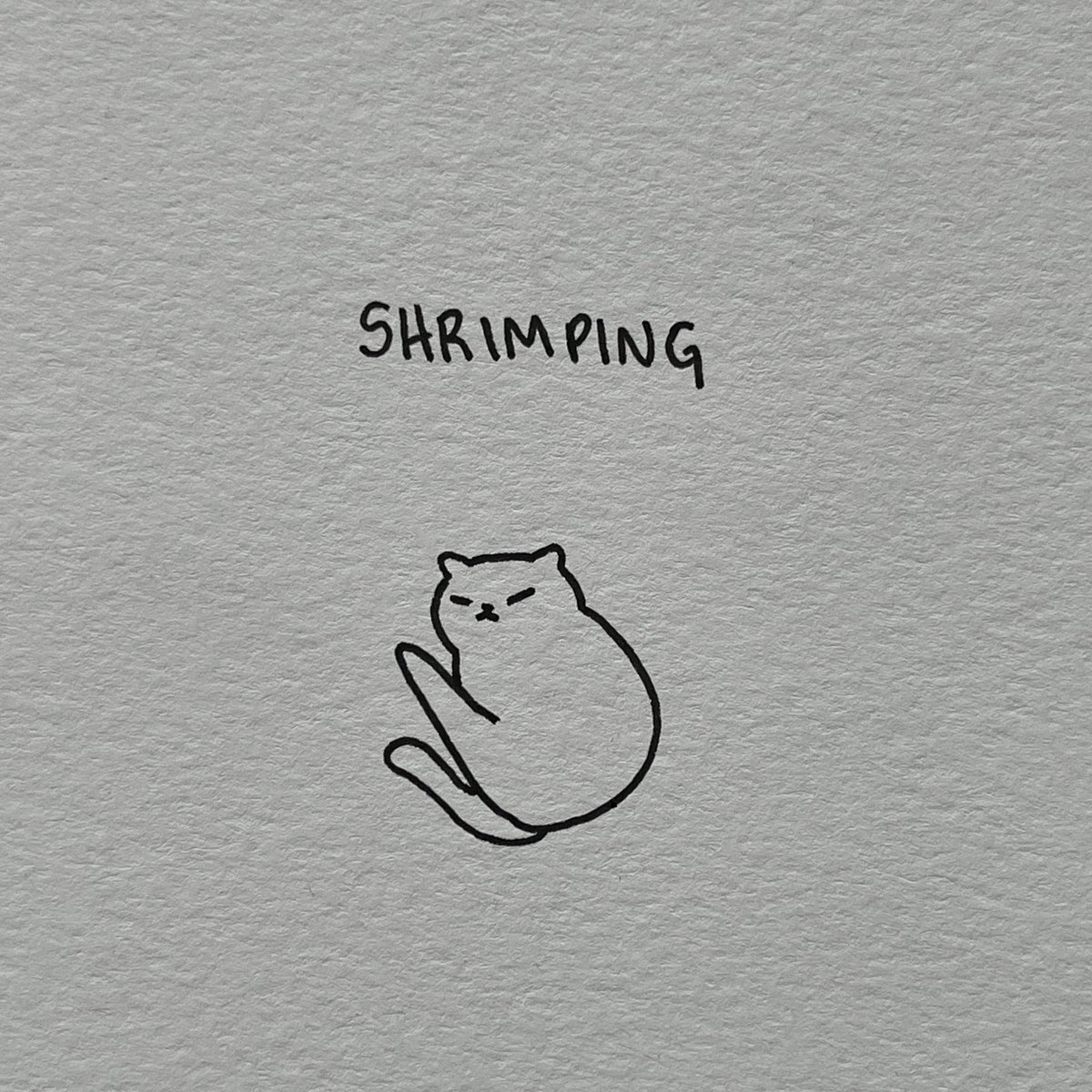 poorly drawn cats tweet media