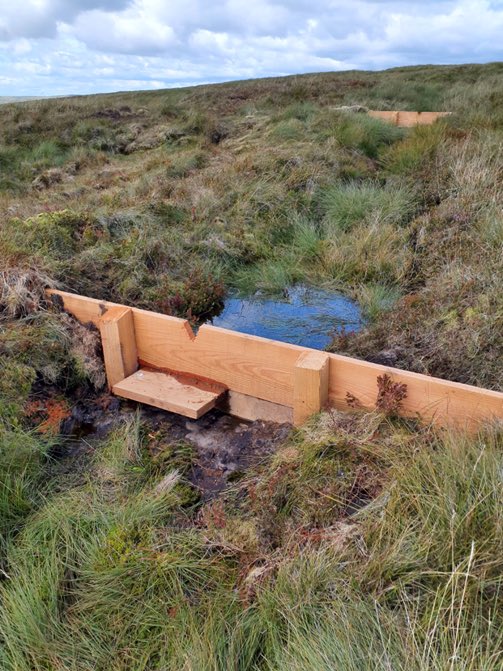 Yorkshire Peat Partnership - follow us on Bluesky tweet media