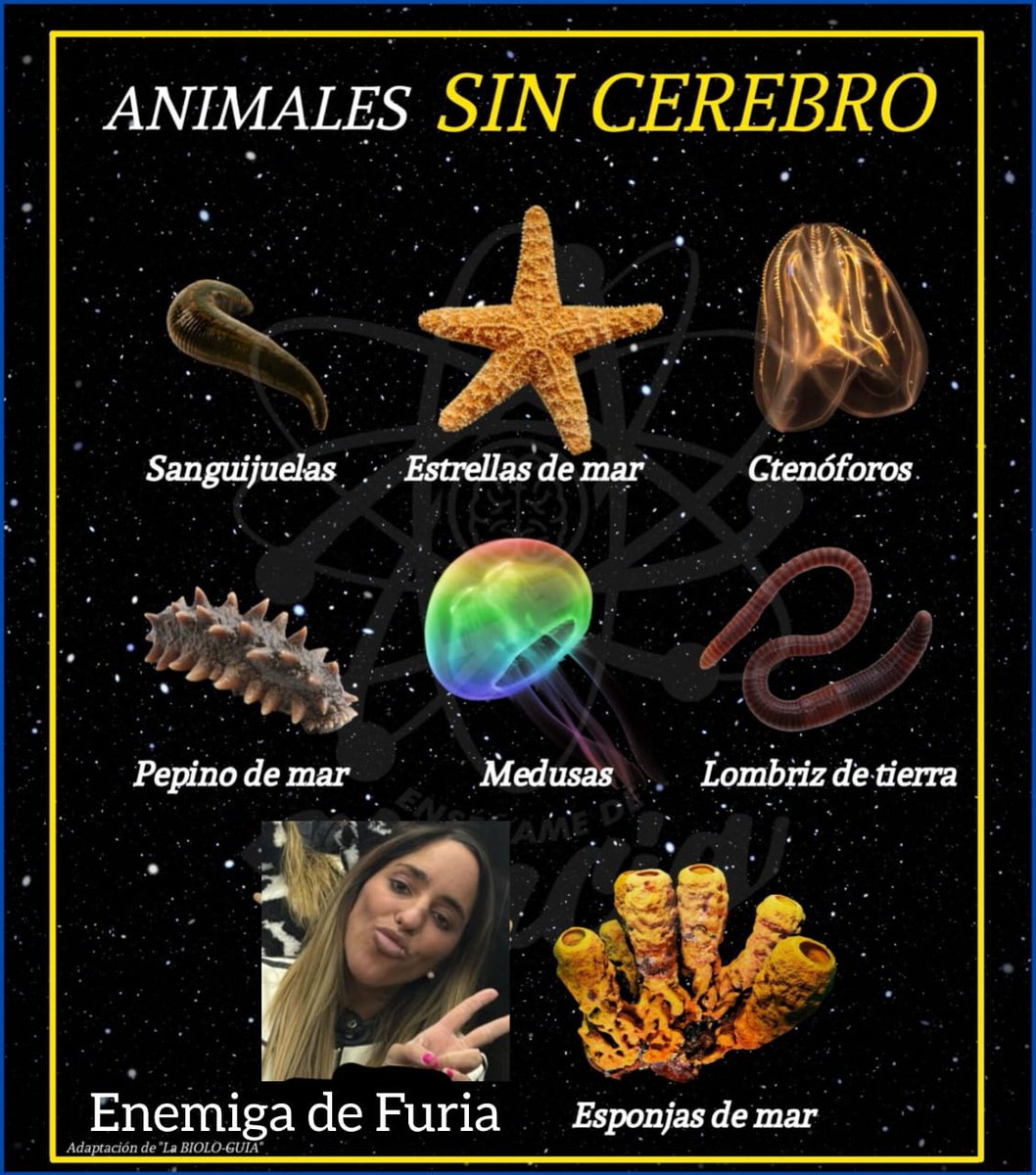 Si la ciencia lo dice, quien soy yo para refutarla!