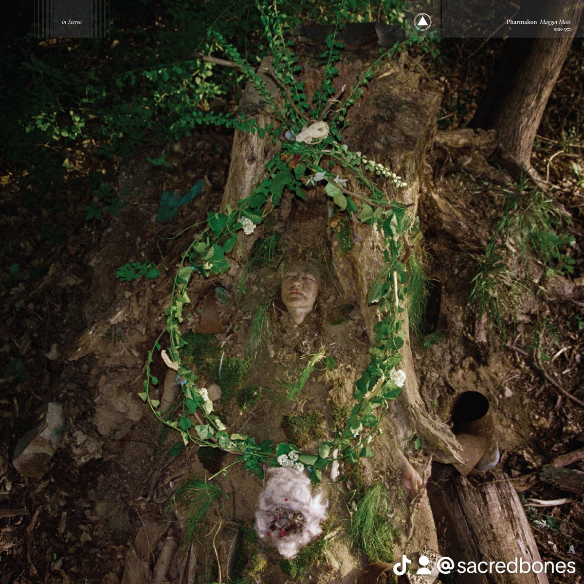 Sacred Bones Records tweet media