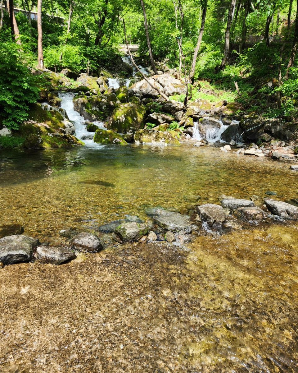 jmaan2's tweet photo. 山登りの楽しみ！ 山の中のきれいな空気を感じる。
#山に登る
#大岳山
#日常
#週末 https://t.co/v3g8y3fSnC