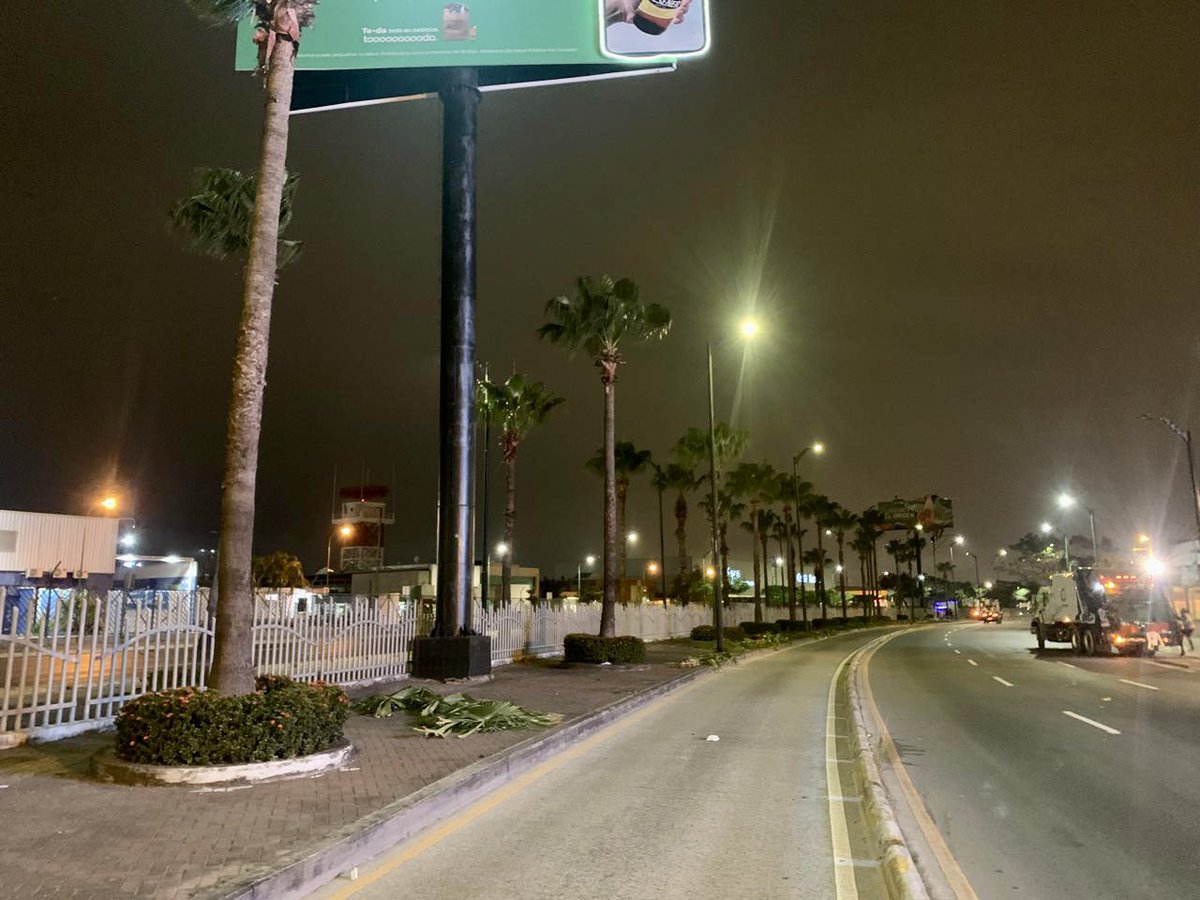 parquesgye's tweet photo. Además, cuadrilla de la jornada nocturna realizó poda en palmeras ubicadas en el parterre central de la Av. De las Américas. ¡El mantenimiento es constante! La #CiudadDeTodos reverdece.🍃
@aquilesalvarez 
@alcaldiagye https://t.co/Bn7kI6cOHS