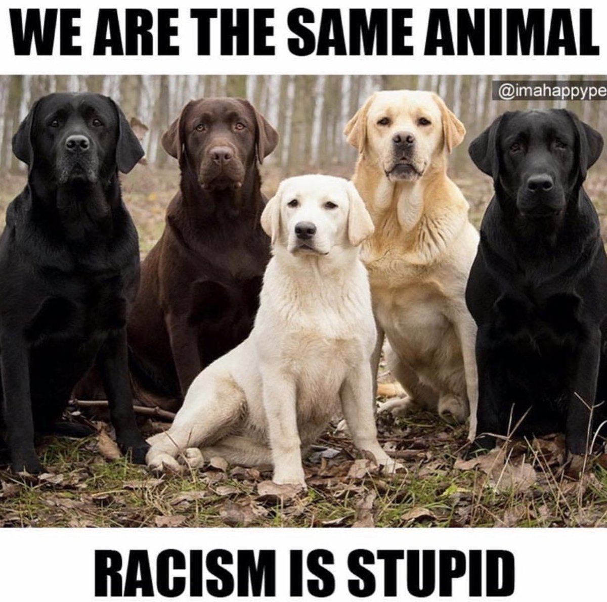 #racismisstupid