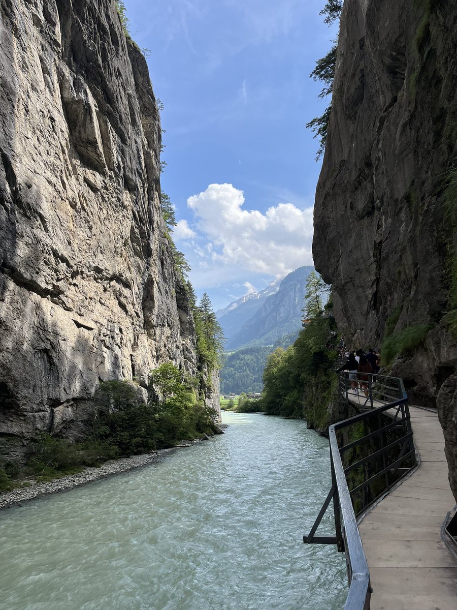 Guillaume Batier tweet media