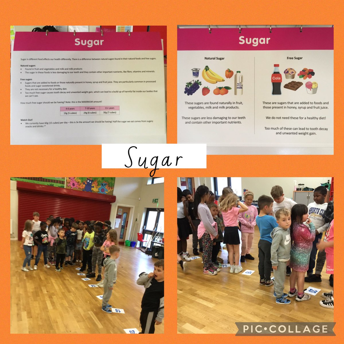 Bryn Celyn Primary School tweet media