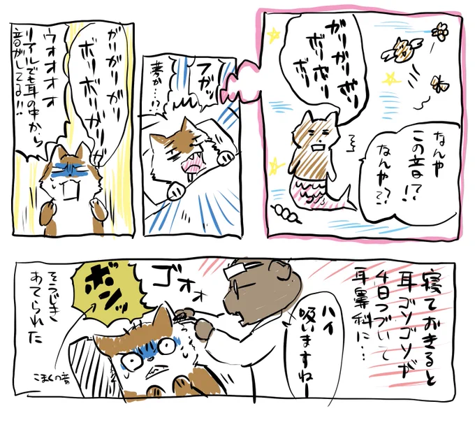 鼓膜の手前にゴミが入って横になるとそいつが鼓膜の上をパーリナイしてた日記 