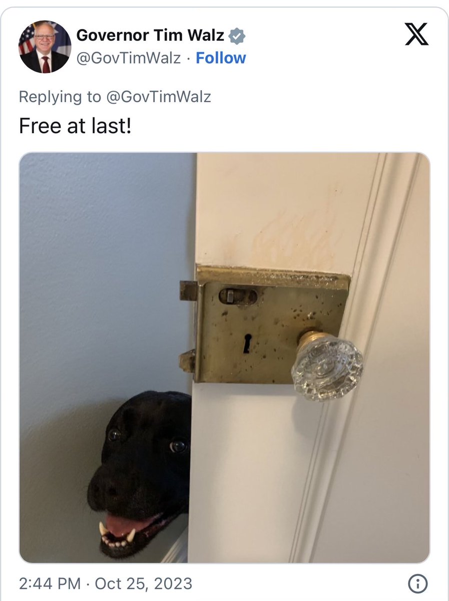 I love Tim Walz. Truly.