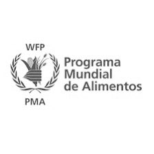 MaraFHerrera1 tweet picture
