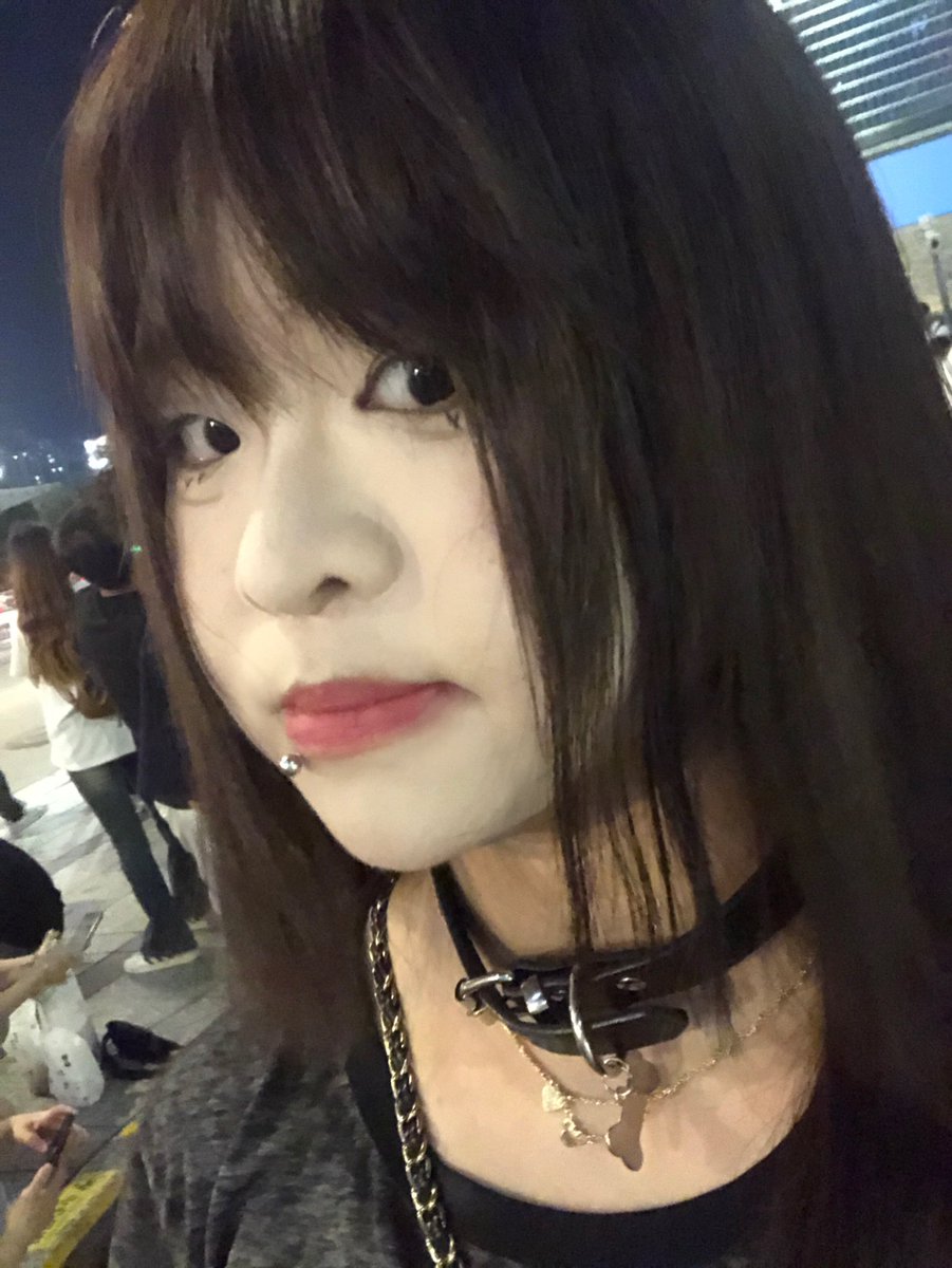 媒体预览