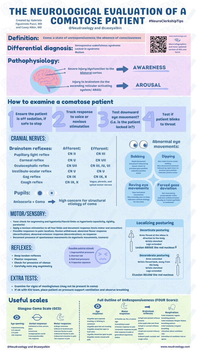 Neurological evaluation of comatose patient