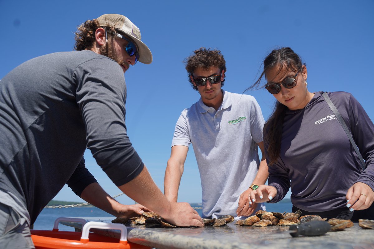 Roger Williams University tweet media