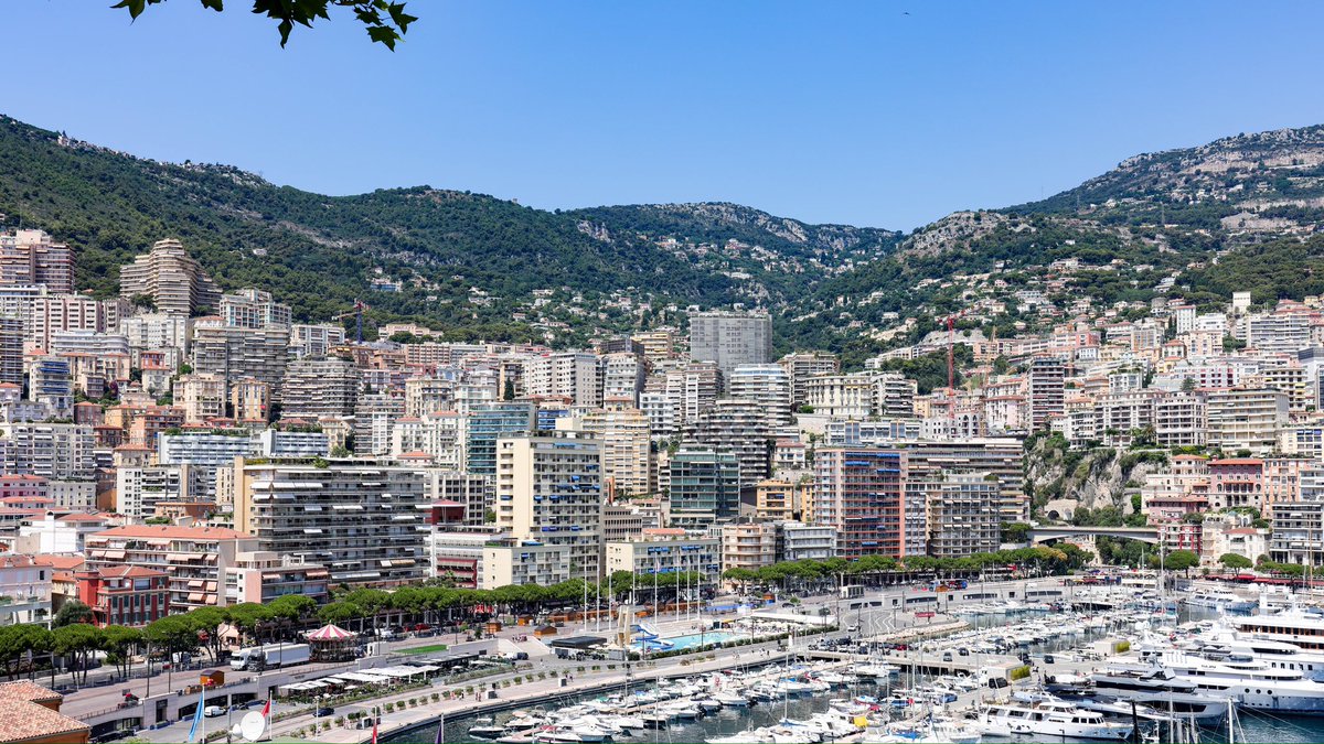 Caroli Com tweet media