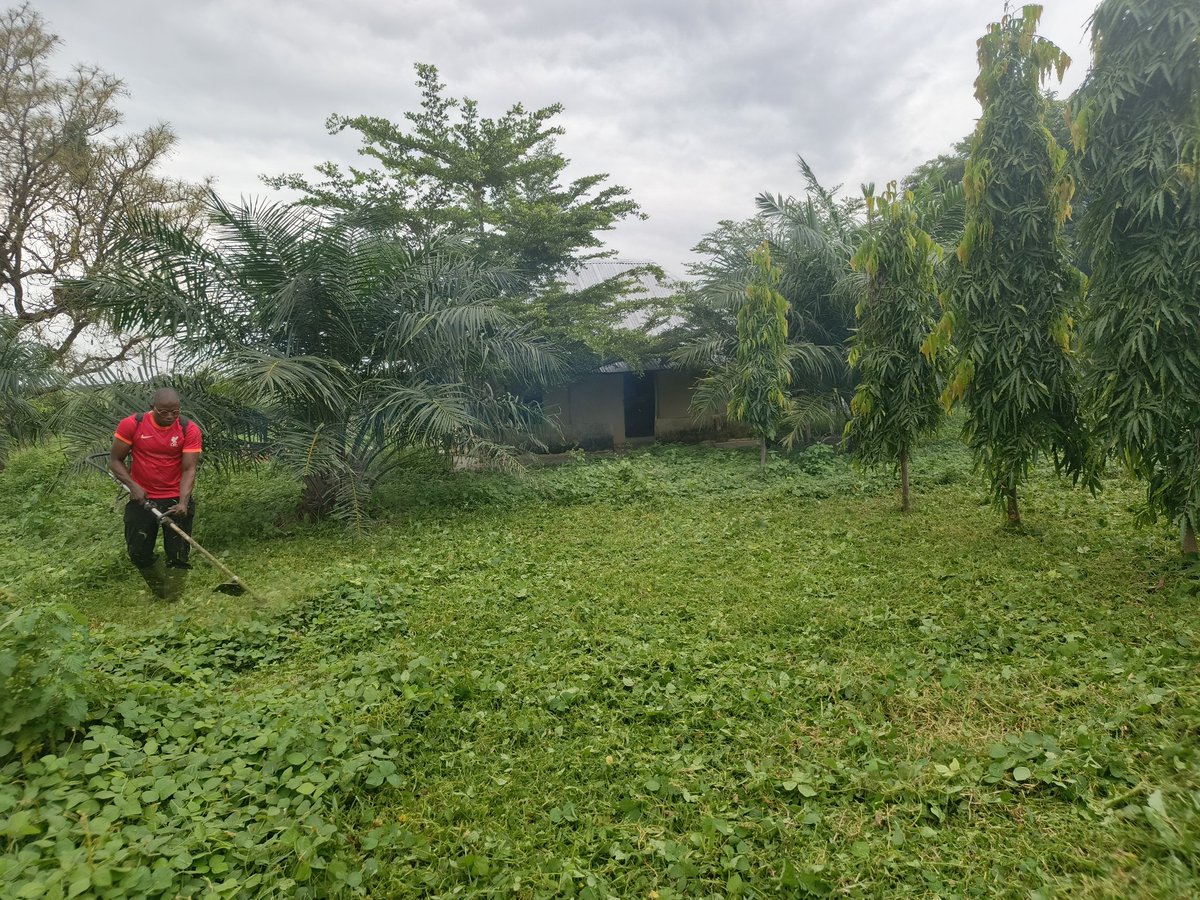 Agbatoken tweet media