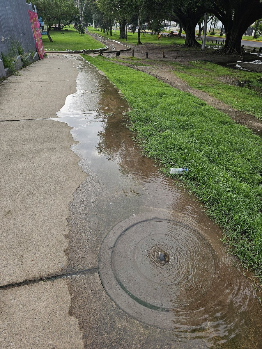 adolfo_mv's tweet photo. Minimo una vez a la semana hay agua tirándose afuera del Centro Acuático metropolitano CODE, huele a aguas residuales @Trafico_ZMG @siapagdl https://t.co/H2CbKOXbGo