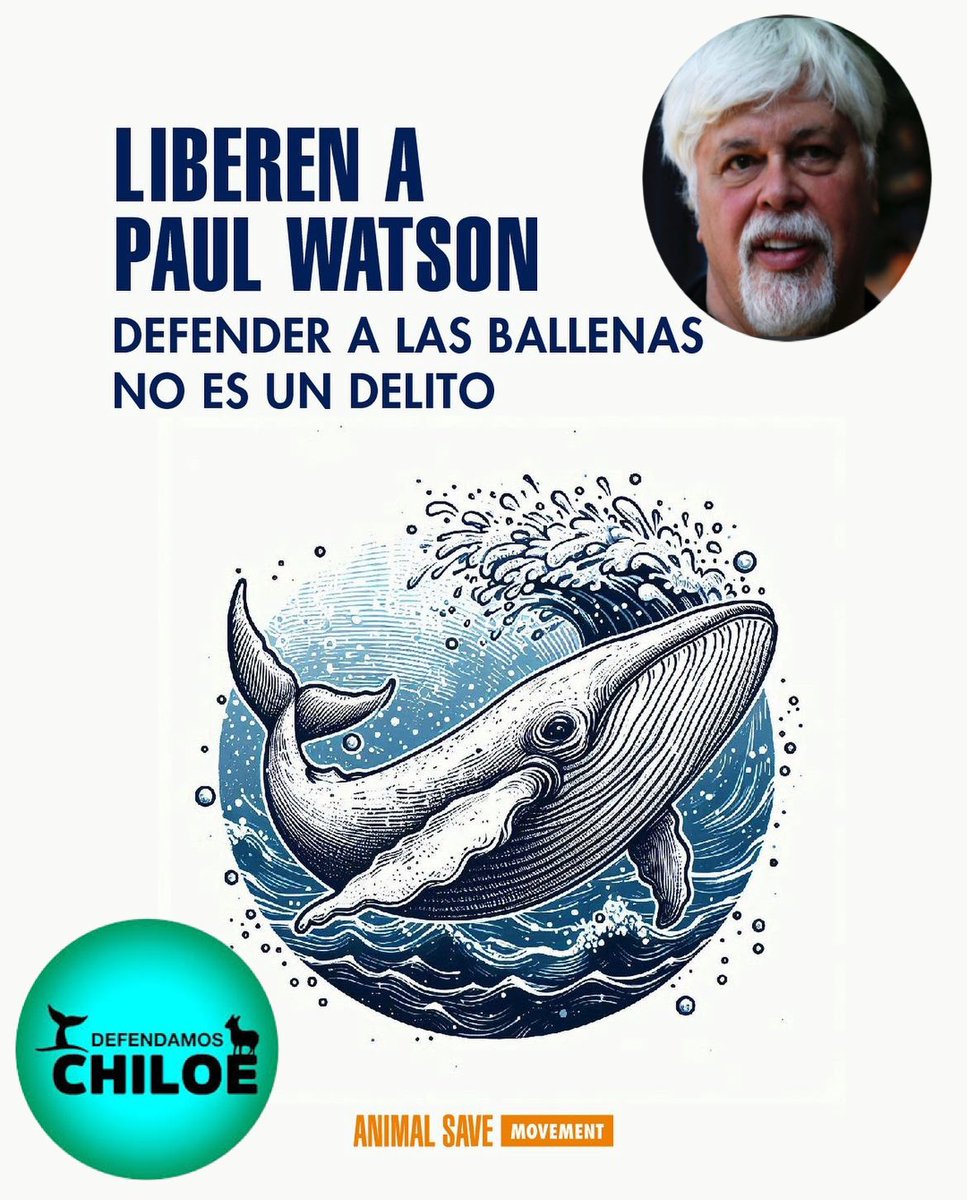 Desde #ChiloéParaisoDeBallenas nos sumamos al llamado internacional para que liberen al activista Paul Watson.

✅Paul es un férreo defensor de la vida marina, en especial lleva una batalla para que #Japon pare de matarlas. 

👉🏼El activista contra la caza de ballenas Paul Watson,