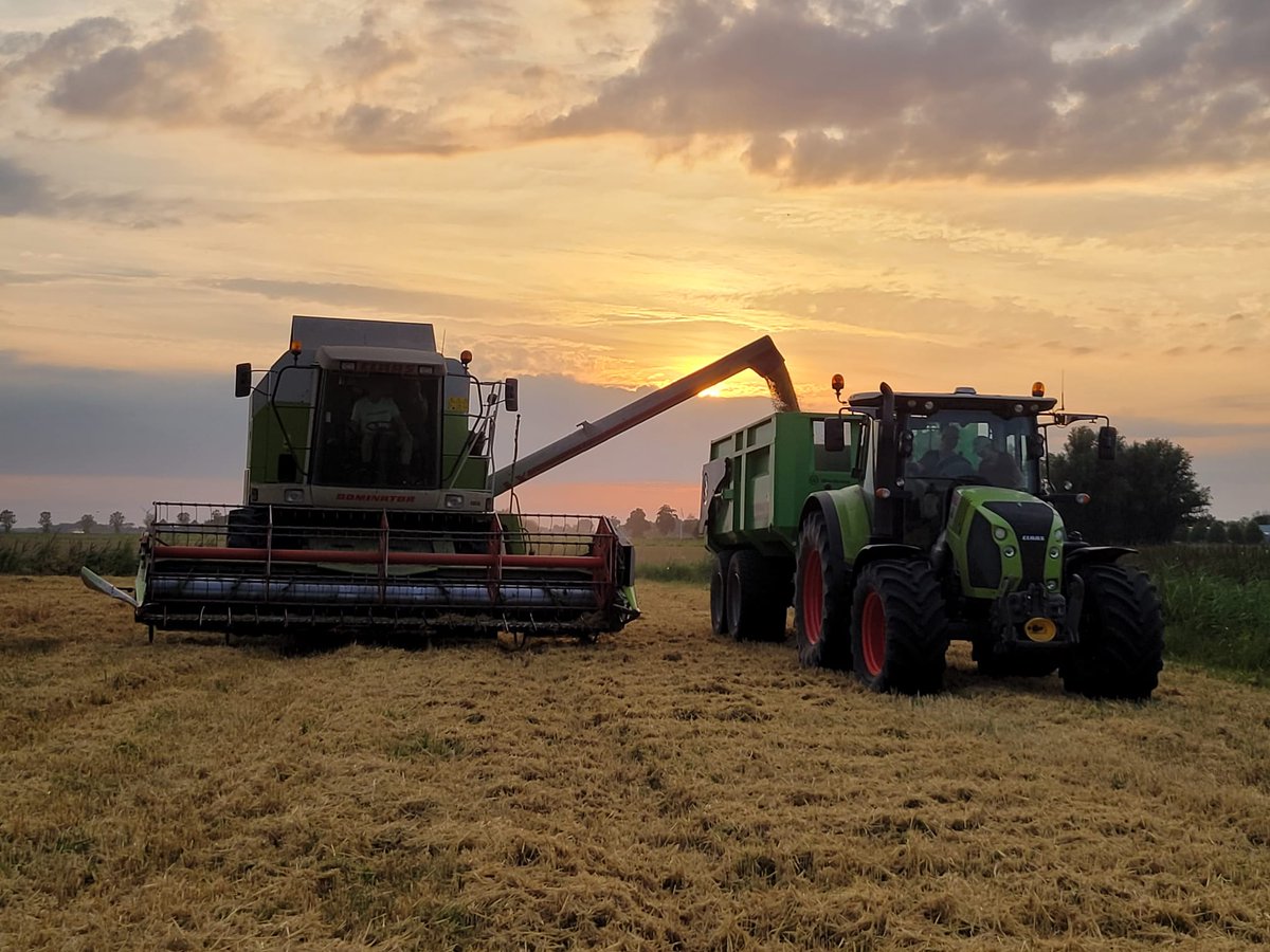 Theo Jansen tweet media