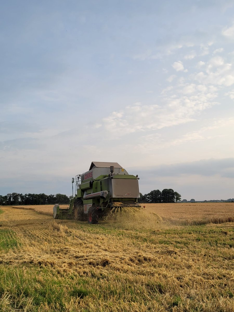 Theo Jansen tweet media