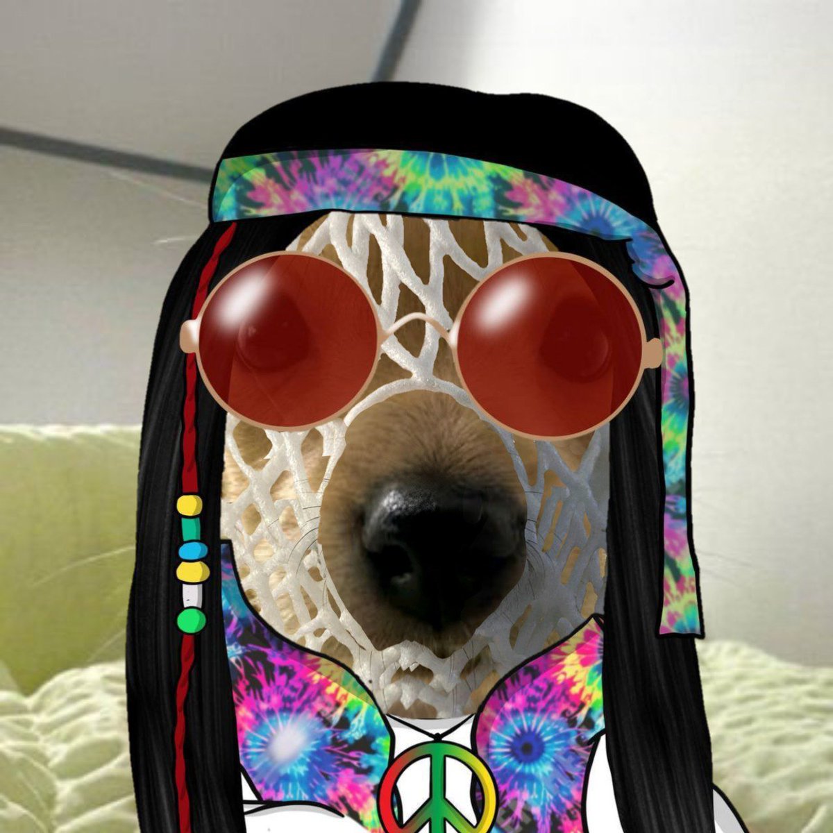 <a href="/DegenerateNews/">DEGEN NEWS</a> BREAKING $WBILLY IS ON A MISSION TO 1BILLY*
CfuWKwkHn1qQE18eCx6iabF9c5nxPN9v3sC1sMH3pump