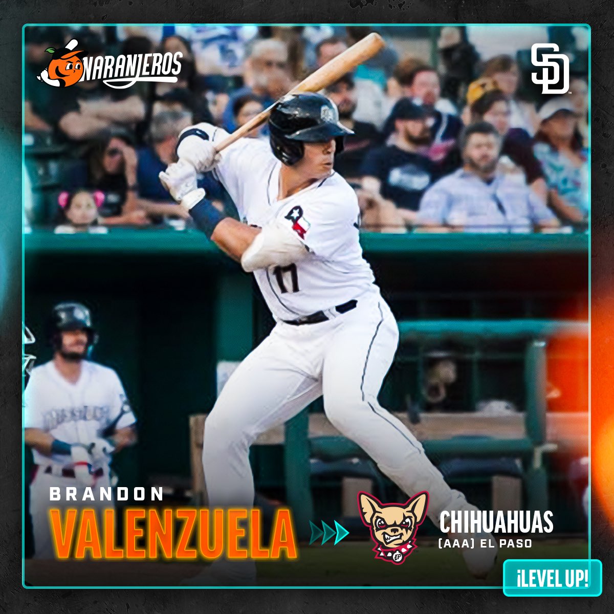 ClubNaranjeros's tweet image. Brandon Valenzuela ha sido promovido al equipo triple A de su organización. ⚾️

🌟 ¡Mucho éxito y felicidades! 

#ElShowContinúa