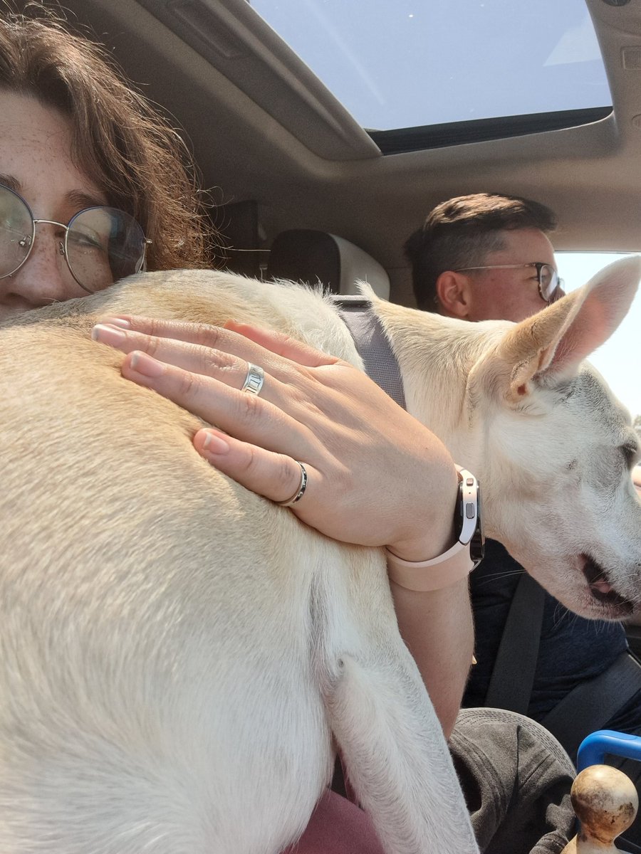 Dayn, who edits comics tweet media