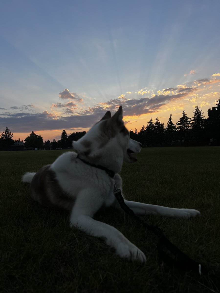 Miahrellim's tweet photo. August but an hours difference 🖤 #montana https://t.co/NdssoR1rzc