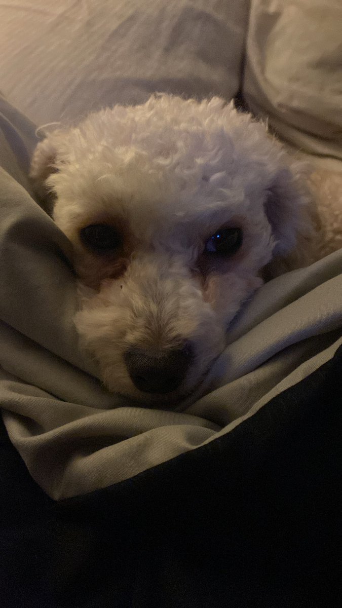 GotBizLoans's tweet photo. When you wake up and realize it's Monday... again. https://t.co/pLNlB90vKY