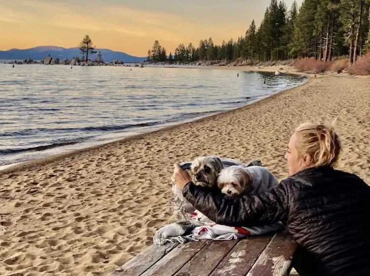 The Dyrt (@thedyrt) on Twitter photo Campers love their dogs — more than half of campers brought pups camping in 2023. Some campgrounds go the extra mile to make our hounds feel at home. Check out this year’s Top 9 for K-9s: The Most Dog-Friendly Campgrounds in the U.S. thedyrt.com/press/top-9-fo… Campers love their dogs — more than half of campers brought pups camping in 2023. Some campgrounds go the extra mile to make our hounds feel at home. Check out this year’s Top 9 for K-9s: The Most Dog-Friendly Campgrounds in the U.S. thedyrt.com/press/top-9-fo…