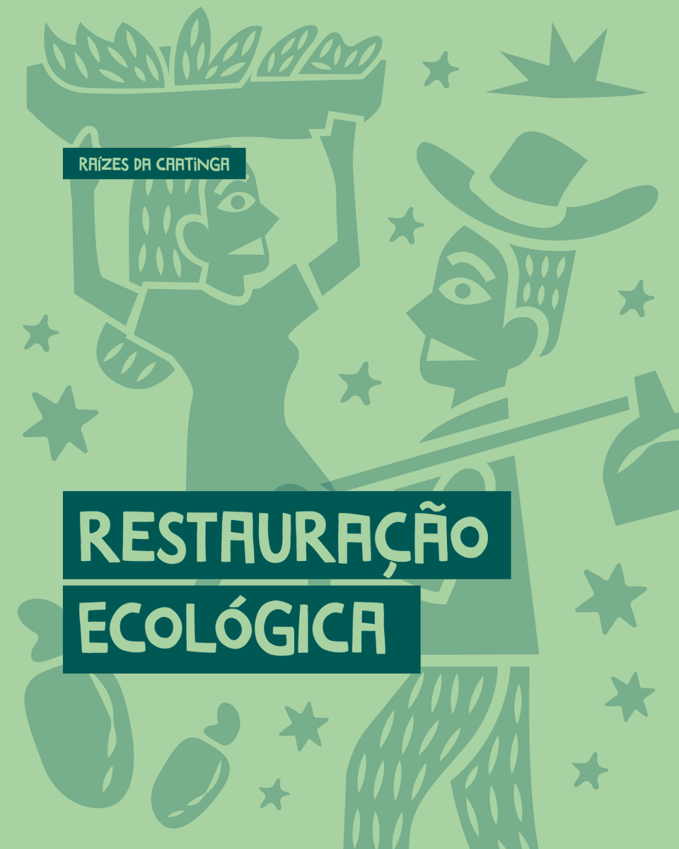 🌳 A restauração ecológica é crucial para garantir a sustentabilidade da Caatinga. a partir de modelos como a Regeneraçao Natural Assistida (RNA), Restauração Ativa e Restauração Hidroambiental. Confira: bit.ly/4djeFQ0