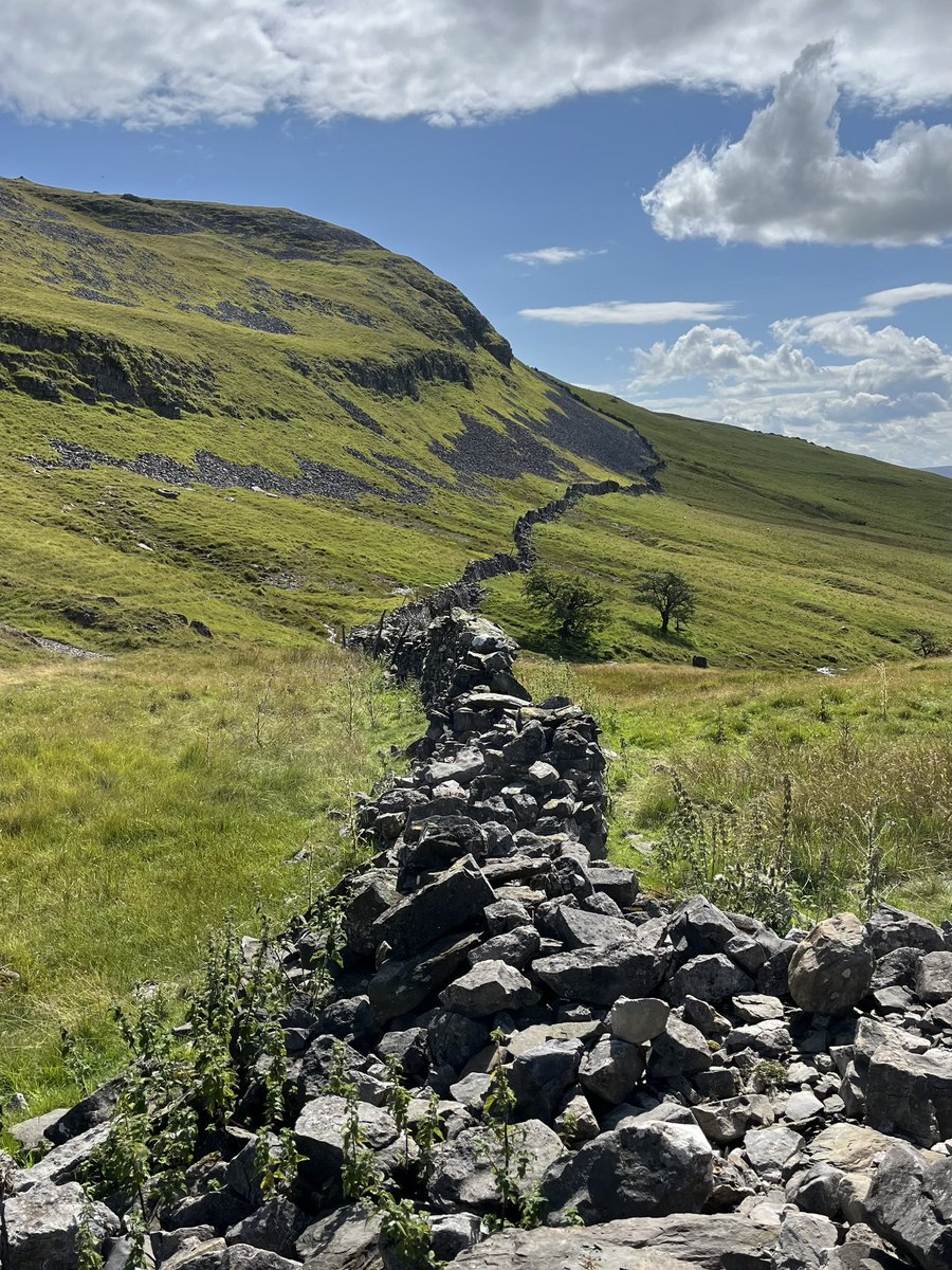 Mark Reid FRGS tweet media