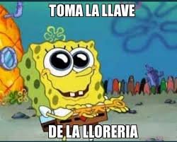 jerafervas tweet media