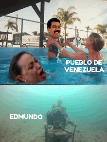 jerafervas tweet media