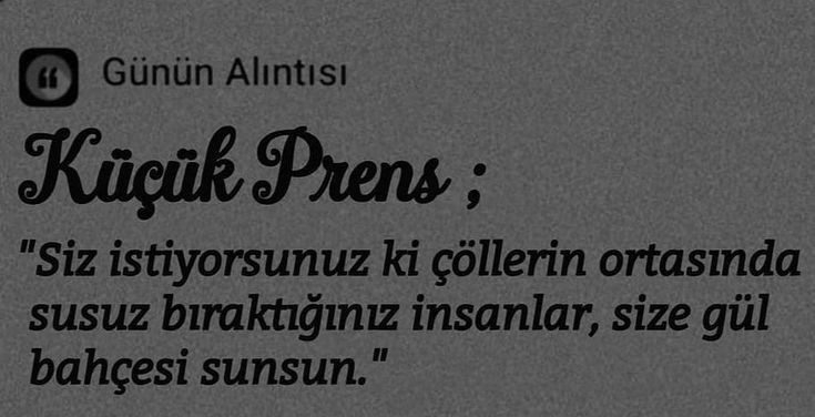 ~Hafize💐 (@hafize__m) on Twitter photo 