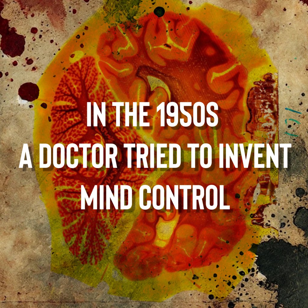 Dr Julia Shaw tweet media