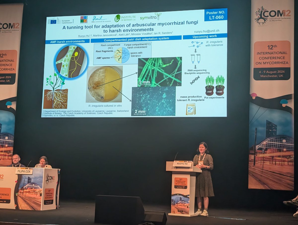 Ian Sanders (@iansanders64) on Twitter photo Ruoyu Hu from <a href="/unil/">Université de Lausanne</a> shows #icom12 her new tool for adapting arbuscular mycorrhizal fungal strains to high heavy metal concentrations Ruoyu Hu from <a href="/unil/">Université de Lausanne</a> shows #icom12 her new tool for adapting arbuscular mycorrhizal fungal strains to high heavy metal concentrations