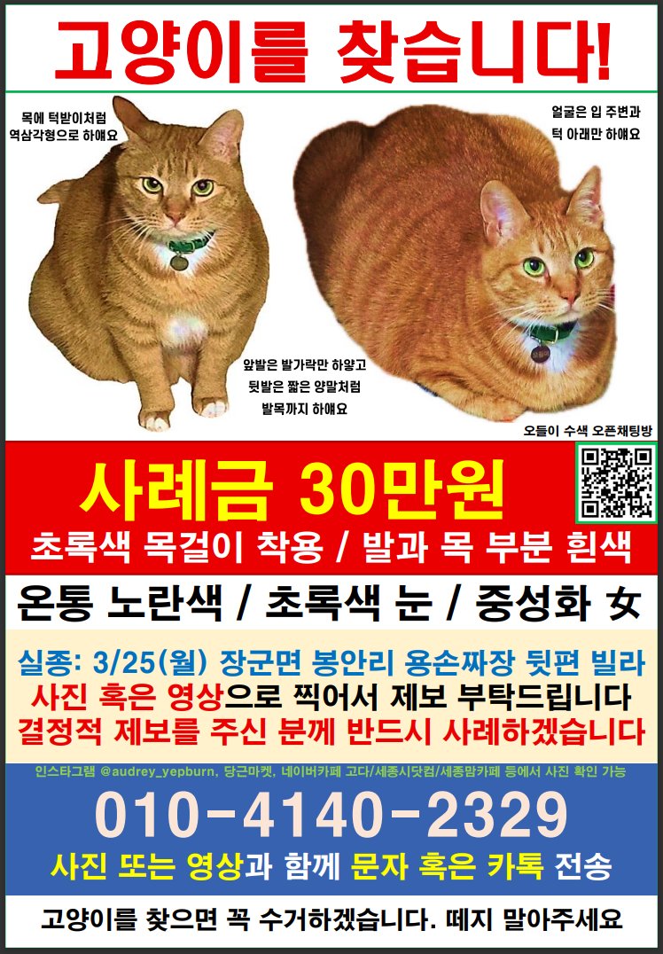 sos_audrey's tweet photo. 🍀세종시 장군면 3월 25일 실종된 노란 고양이 찾습니다🍀
#세종시오들이찾아요 #리트윗 #공유해주세요 #세종시 #세종특별자치시 #장군면 #봉안리 #고양이 #고양이찾습니다 #다정동 #고운동 #종촌동 #어진동 #새롬동 #한솔동 #아름동 #도담동 #연기면 #공주시 #캣맘 #코숏 #치즈냥 #사지말고입양하세요 https://t.co/kTI9ARDoLz