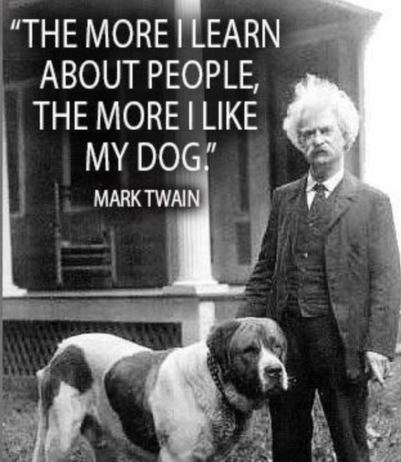 𝕏 Dogs tweet media