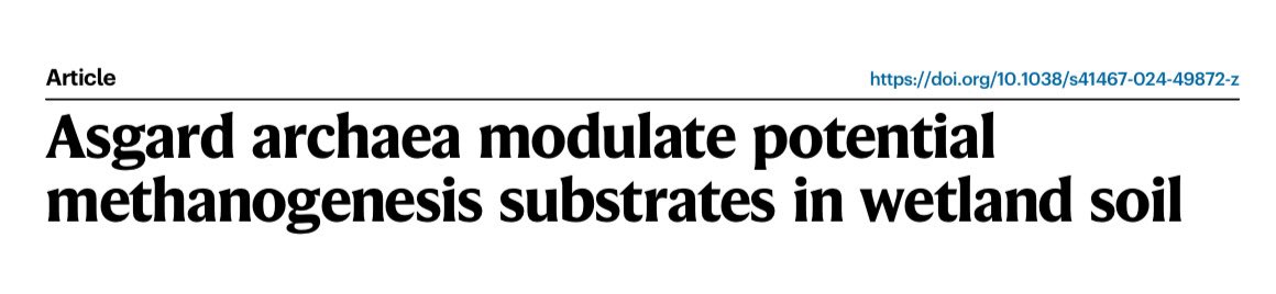 Happy to share my 1st first-author paper in print! Asgard archaea modulate potential methanogenesis substrates in wetland soil. 1/4