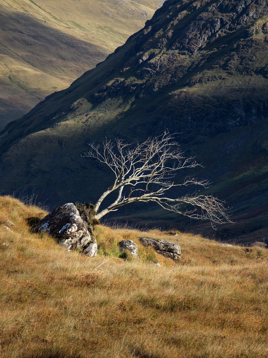 PJ Rankin tweet media