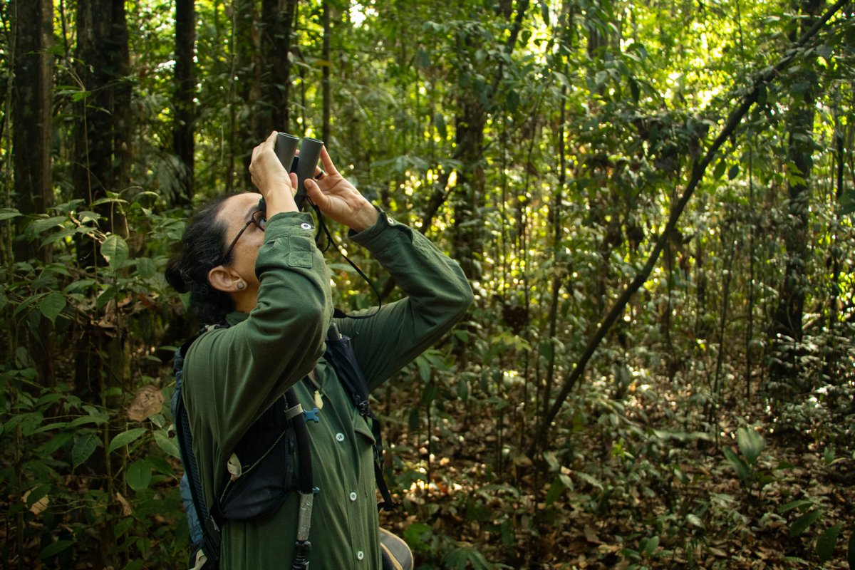 AAAS Kavli Awards (@aaaskavli) on Twitter photo "Brazil is the most biodiverse country on Earth," writes 2023 Small Outlet Silver Award-winner <a href="/DudaMenegassi/">Duda Menegassi</a>, but "most people simply don’t know our species, much less why they should care about them." Read Menegassi on covering biodiversity in Brazil: bit.ly/3yBA08n. "Brazil is the most biodiverse country on Earth," writes 2023 Small Outlet Silver Award-winner <a href="/DudaMenegassi/">Duda Menegassi</a>, but "most people simply don’t know our species, much less why they should care about them." Read Menegassi on covering biodiversity in Brazil: bit.ly/3yBA08n.