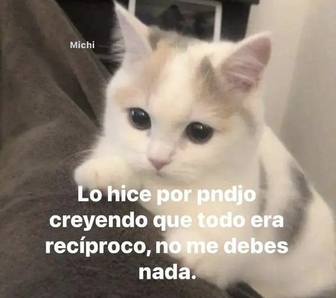 En_jupiter_'s tweet image. 