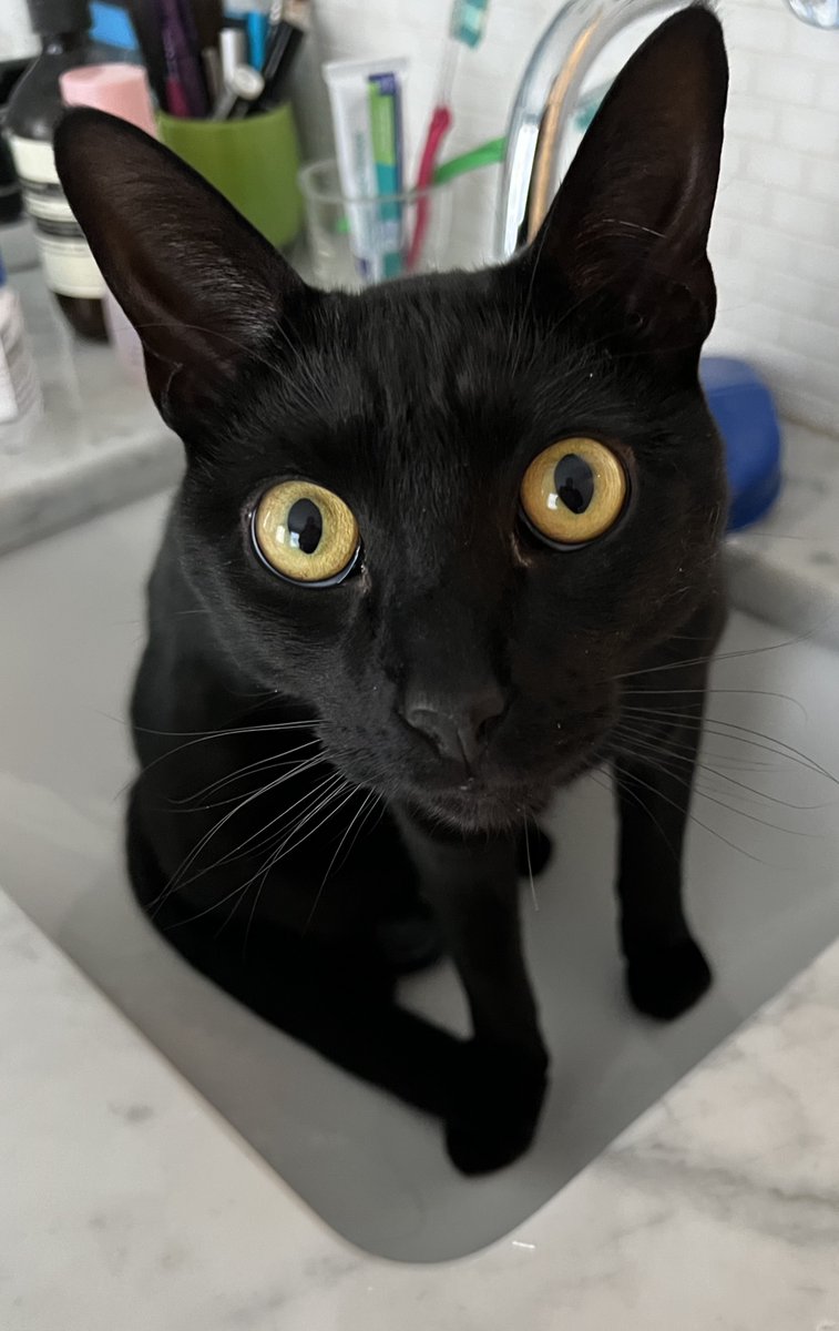 Rage Cook tweet media