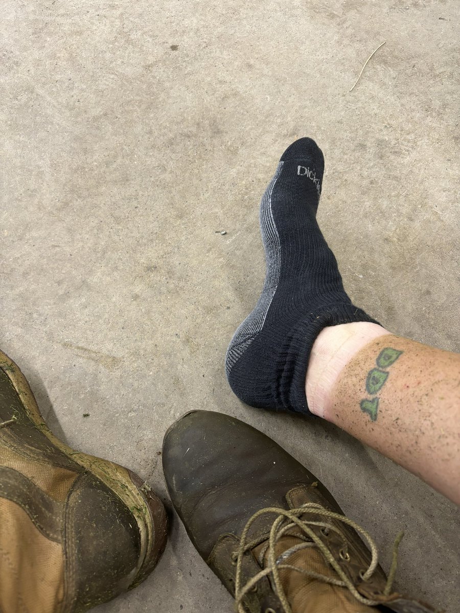 TerryHillsMaint's tweet image. Weedeater tan lines. Golf course life.