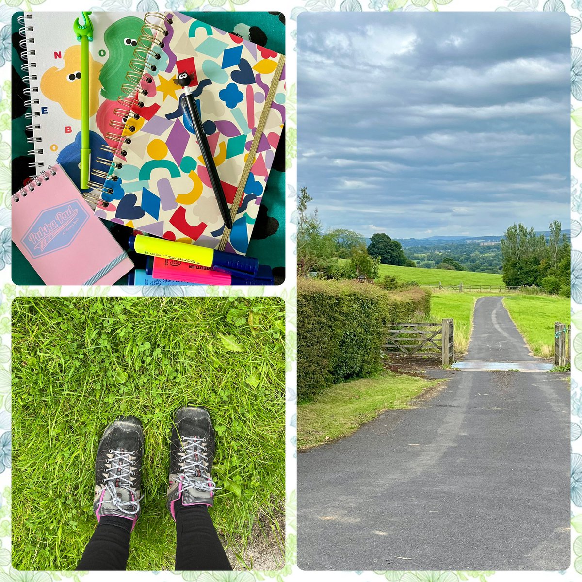 Melissa Morris💚 tweet media