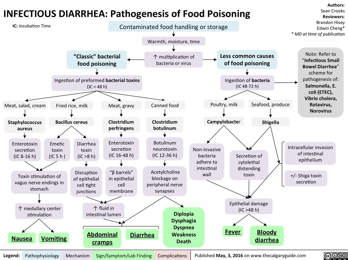 Pathogenesis of food poisoning caused by bacteria