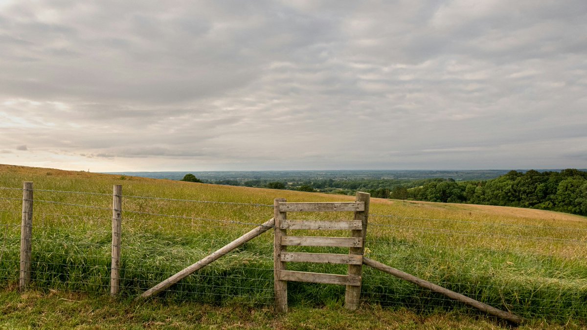 wainwrightprize's tweet photo. There's so much world all around us to appreciate. Whether that's rolling fields, your local park, your backyard or a patch you pass on your daily commute, there are pockets of nature to be found everywhere.
What's your local pocket of nature? https://t.co/q3Q1v847UT