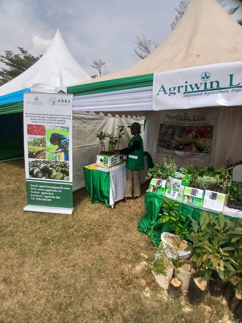 As 17th AGRISHOW is on going ,you are wellcome all at AGRIWIN Ltd stand and get many types of seedlings and advisory services. Great thanks to <a href="/IsraelinRwanda/">Israel in Rwanda🇮🇱🇷🇼🇧🇮</a> <a href="/RwandaAgri/">Ministry of Agriculture & Animal Resources |Rwanda</a> <a href="/RwandaAgriBoard/">Rwanda Agriculture & Animal Resources Devpt Board</a> <a href="/UR_CAVM/">UR-CAVM</a> <a href="/AGRA_Africa/">AGRA - Sustainably Growing Africa’s Food Systems.</a> <a href="/RwandAgriExport/">NAEB</a> <a href="/HeiferRwanda/">Heifer International Rwanda</a> <a href="/ryaf_agribiz/">Rwanda Youth In Agribusiness Forum</a> <a href="/FAORwanda/">FAO in Rwanda</a>