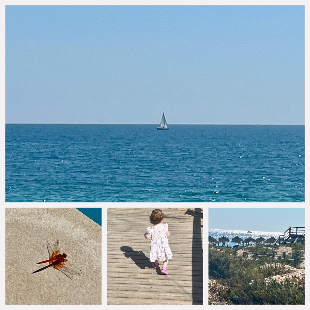 Lunch <a href="/MariasAlgarve/">Maria's Restaurant</a> always a treat 

#FamilyHoliday
#Granddaughter 
#100daysofwalking
#300daysofwalking
