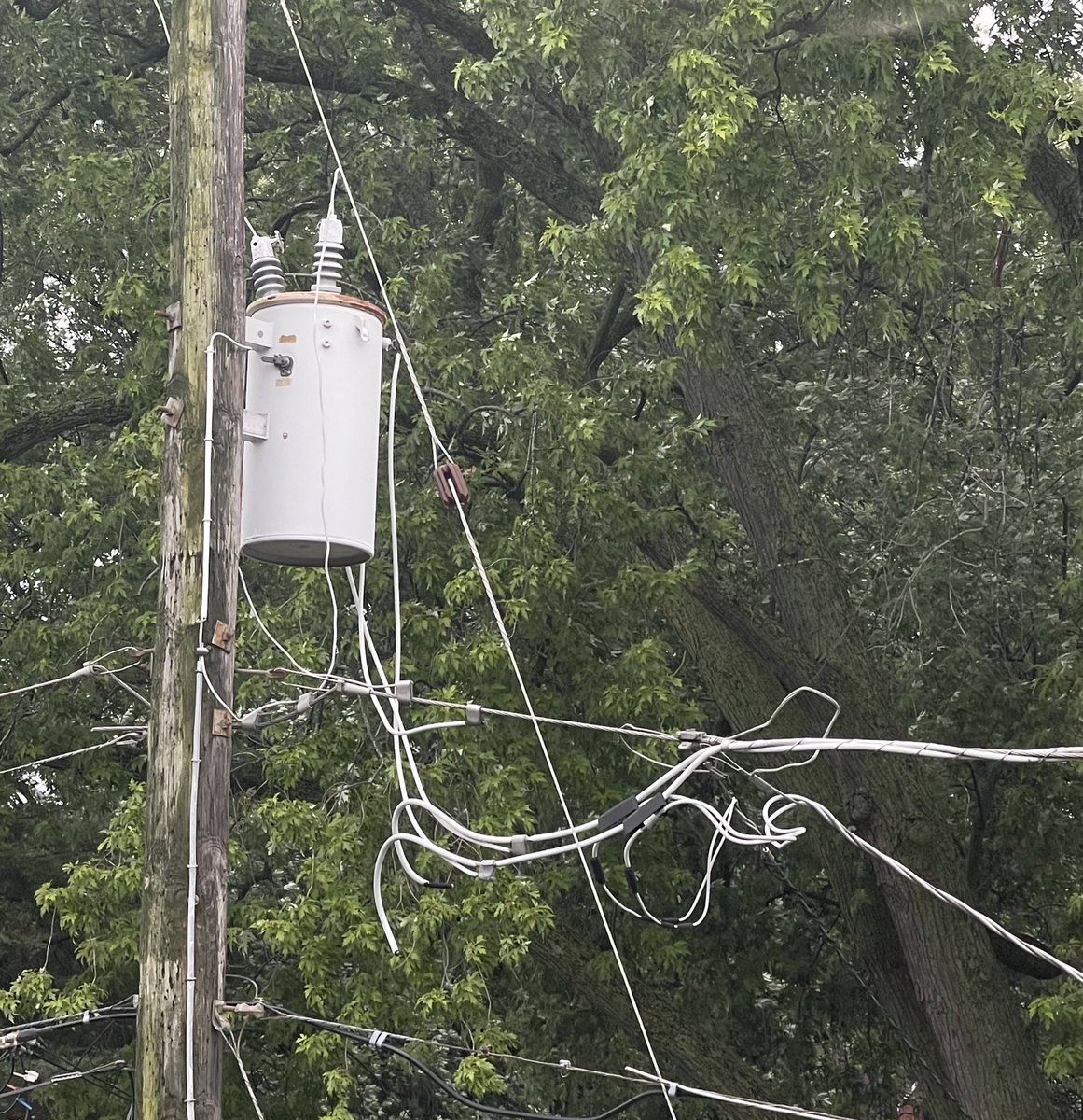 Abbey Smith tweet media