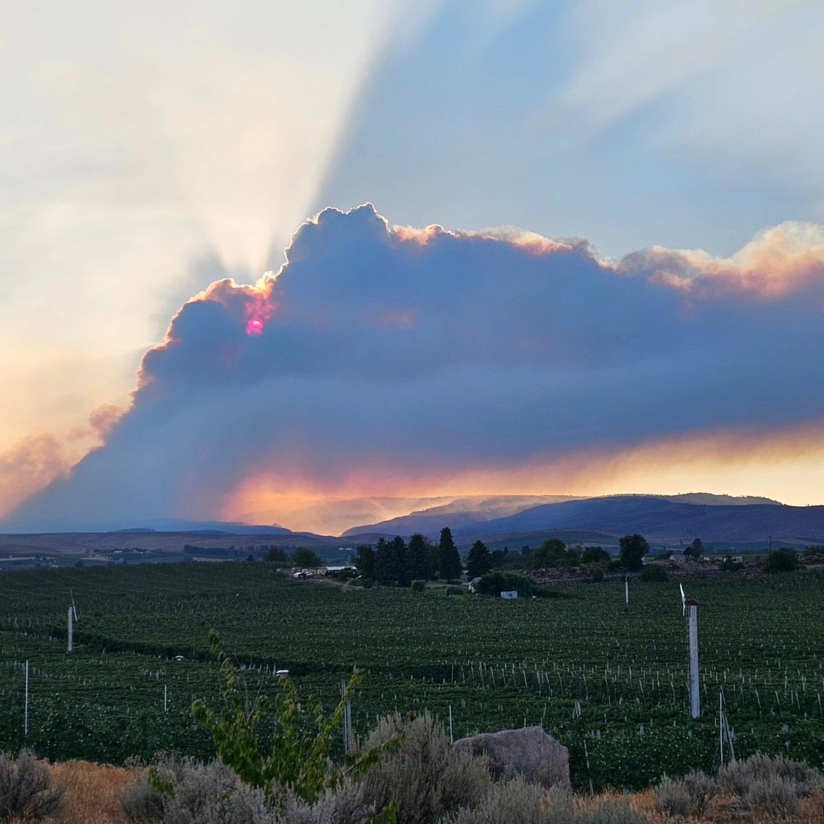 wxguymike's tweet photo. Hauntingly beautiful. Yakima Valley. Photo courtesy of Justin Tornow. #Retreatfire https://t.co/0tHm9jNR8D