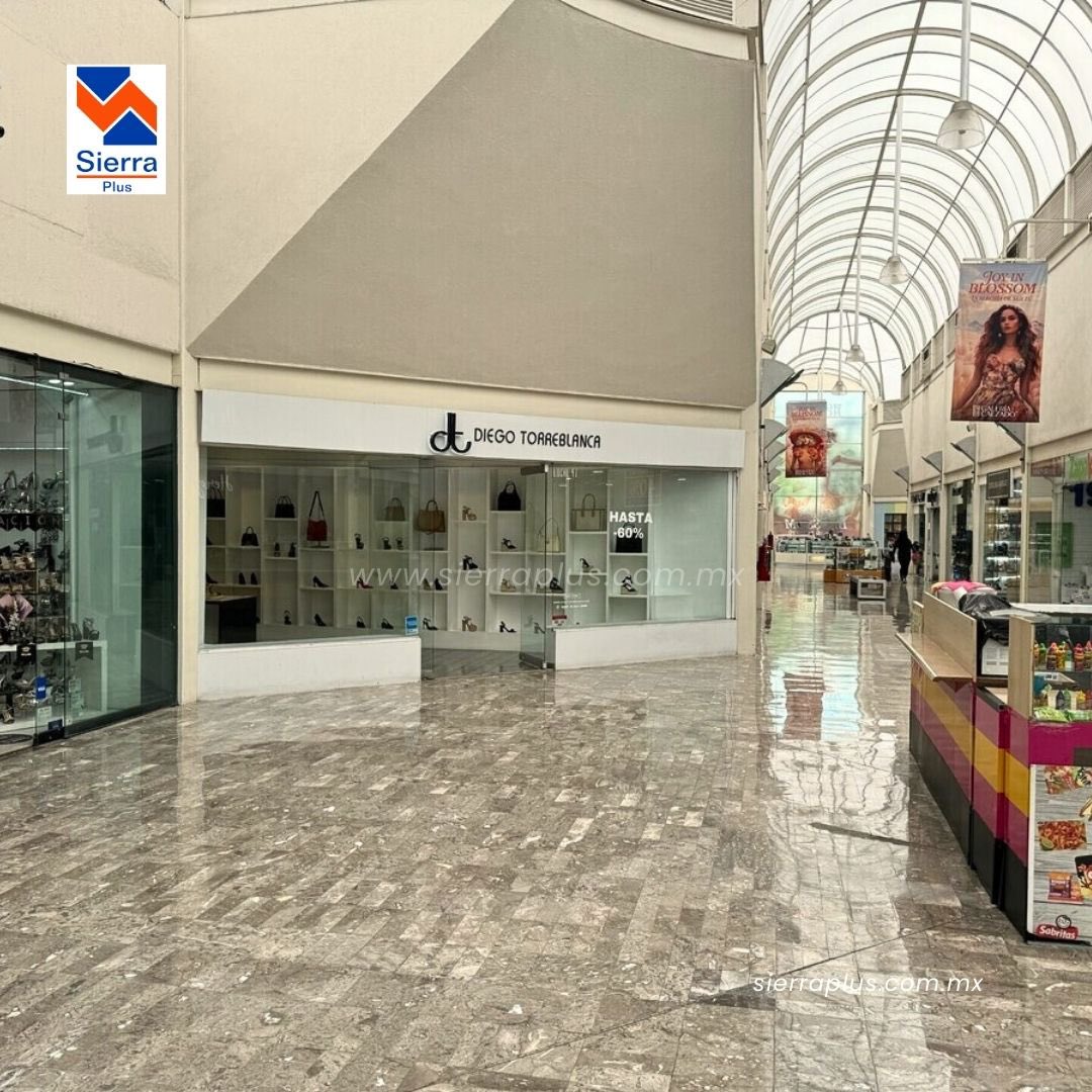 SierraPlus's tweet photo. ¡Inversión única en Guadalajara! 🌆💰
Local comercial en Plaza Galería del Calzado:
✅ Solo giro zapatero
✅ 7m frente exhibición
✅ 76m² planta baja + 60m² bodega
✅ Rentado hasta Feb 2025
💰 Precio: 4.2 MDP
¡Oportunidad imperdible! 🏢✨
Info: https://t.co/yVbK850Uwm
#Gdl https://t.co/PwmyO1lTt8